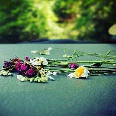 彩神8官网app下载