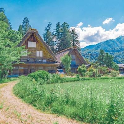 365体育官方唯一入口