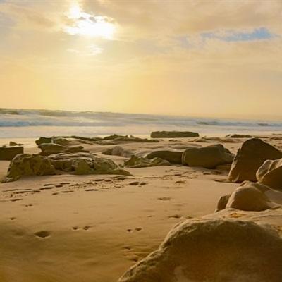 炸金花游戏app下载